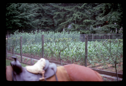 Slide953.jpg